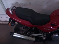 IMAG0267.jpg